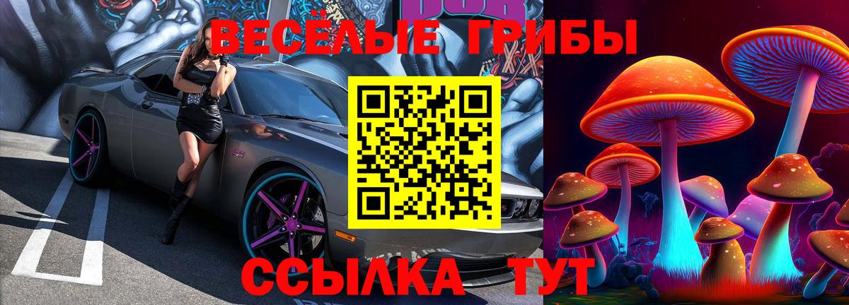 Псилоцибиновые грибы Psilocybine cubensis  Галлюциногенные грибы Psilocybe  Вход с VPN  Великий Устюг 